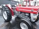 Massey Ferguson 135 HIENO !!! TODELLINEN LÖYTÖ !!!