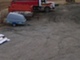 Scania 142