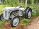 Ferguson Te 20