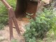 MaaMasina Maakasi Oy Cat 225