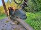 Hakki HK 2500 NOKKA HK2500
