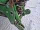 Traktorit-John Deere
